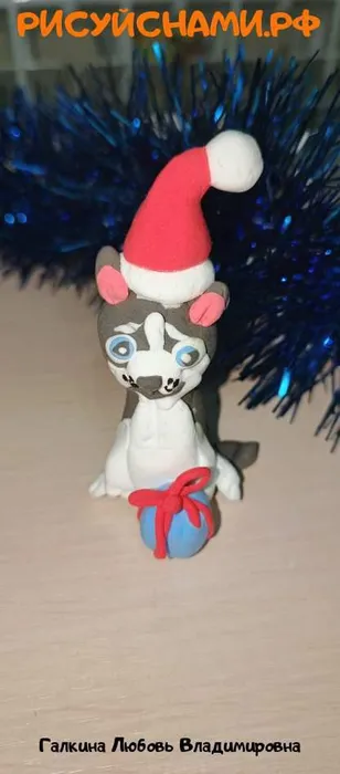 IMG_20260216_211231_344