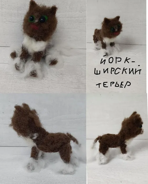 Polish_20260216_200652478